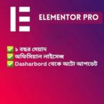 Elementor Pro