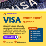 ভিসা এক্সপার্ট হওয়ার সেরা কোর্স!